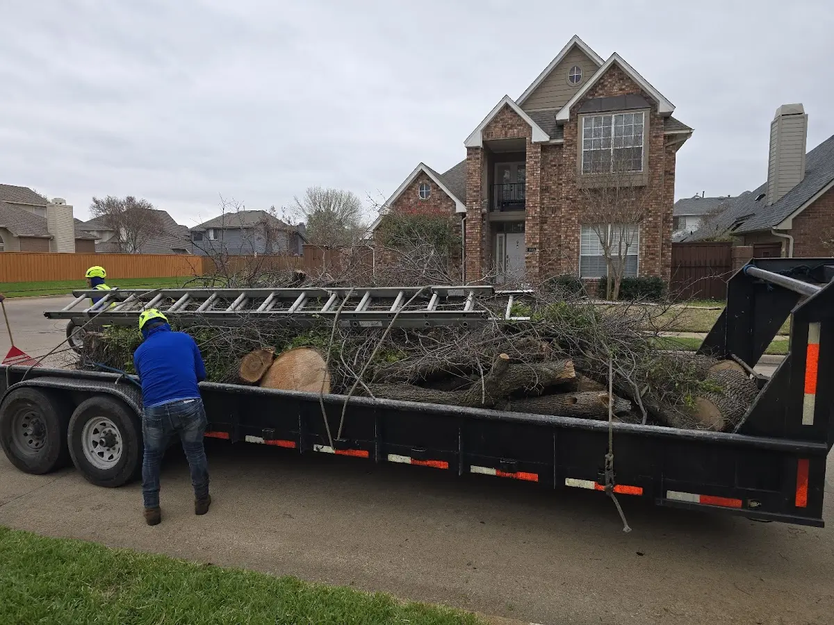 Expert Tree Removal with proper safety equipment in Marble Hill